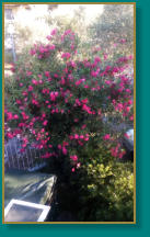 Toreinfahrt am Casa Olivia