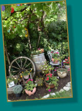 mediterranes Ambiente