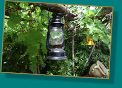 Laterne unter der Pergola