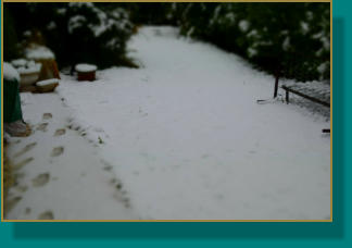 Schnee im Garten