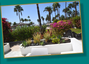 Terassenbeplanzung mit wenigen Schritten zum Pool