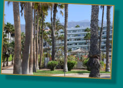 vor lauter Palmen sieht man das Altamira nicht